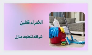 تنظيف منازل